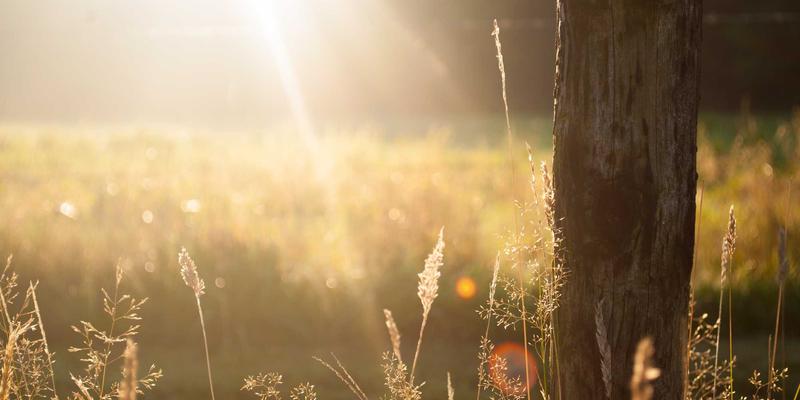 JGACD24：当软件开发遇见温馨治愈，重新定义网站开发的温度