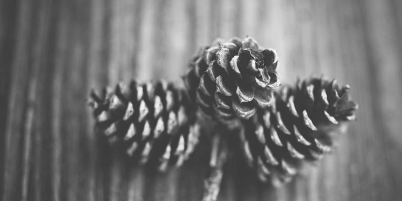 JGACD29：数字化解决方案如何用编程编织温馨治愈的科技力量