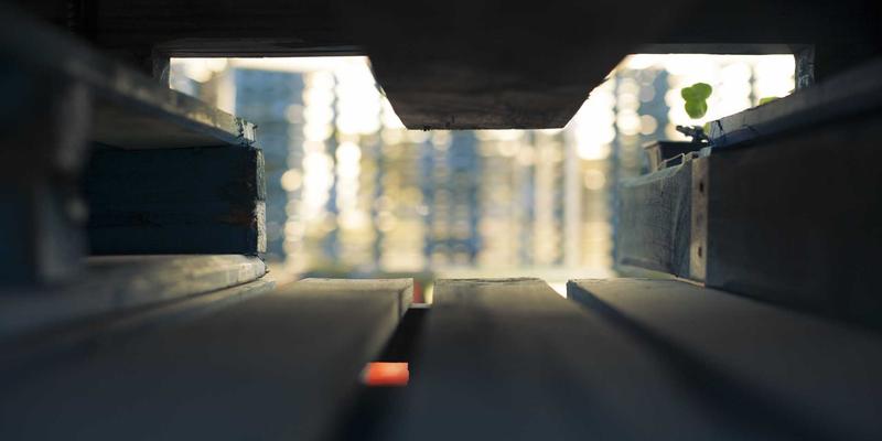 JGACD76：当软件开发邂逅温馨治愈，打造触动人心的应用程序