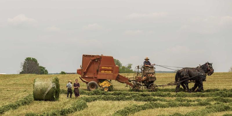 JGACD算法：基因测序数据并行处理流程优化的核心数字化解决方案