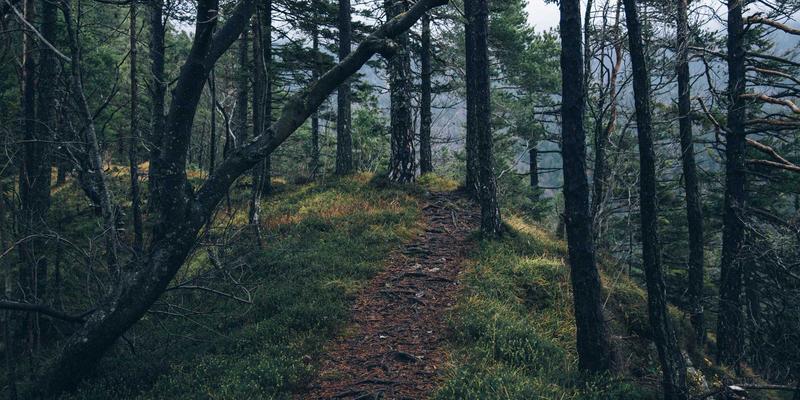 时序一致性的编程艺术：JGACD算法如何重塑自动驾驶多传感器数据融合