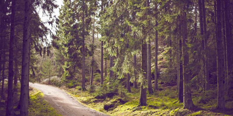 构建坚不可摧的交易系统：基于JGACD框架的容错机制与数字化解决方案