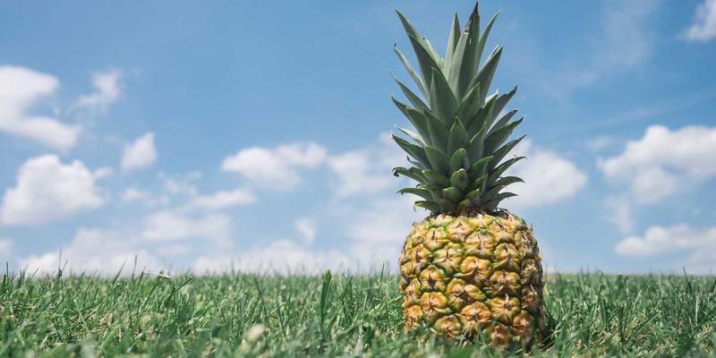 网络安全与软件开发新范式：基于JGACD的物联网设备动态能耗管理与网络寿命优化