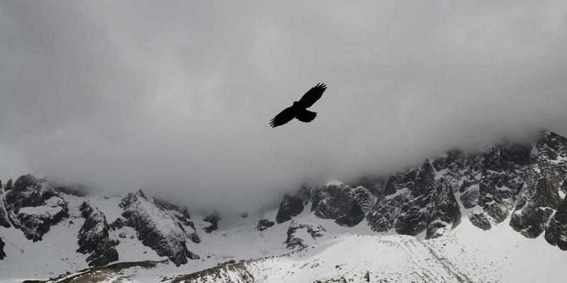 网络技术赋能金融安全：JGACD如何以低延迟数据处理重塑实时风控