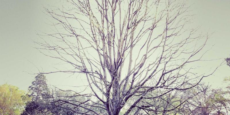 融合深度学习的JGACD算法：引领医学图像分割的数字化解决方案创新